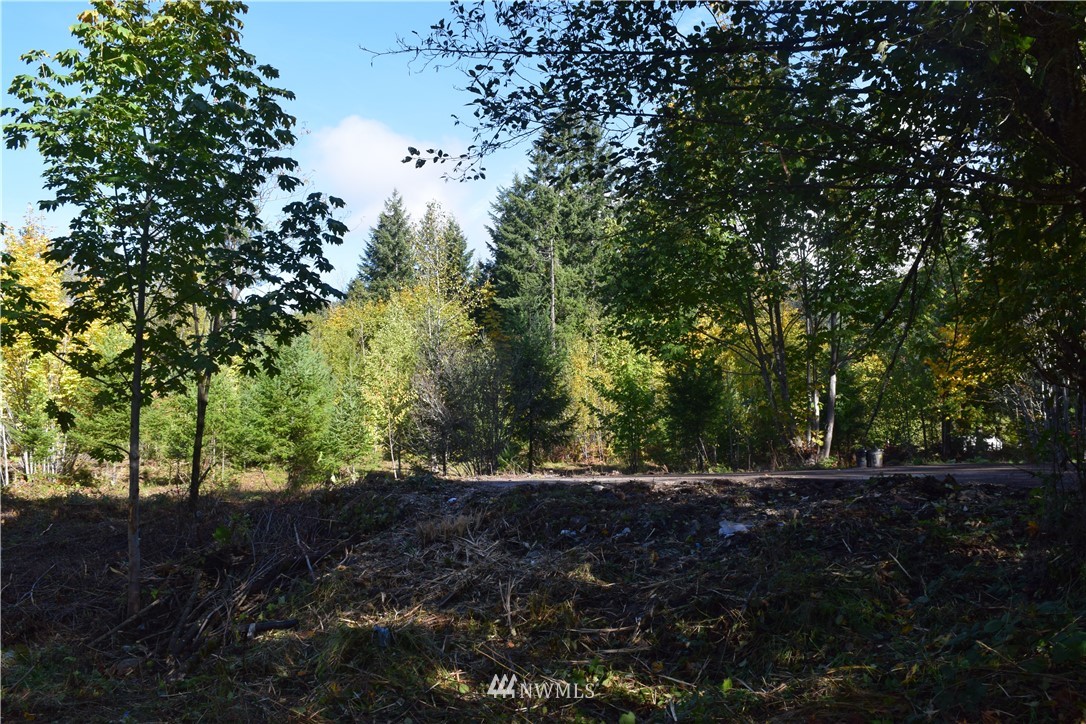 147-26 26 Morris Road Randle, WA 98377 - Photo 15 of 23 Gallery Image 15