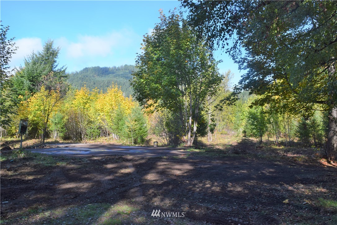 147-26 26 Morris Road Randle, WA 98377 - Photo 16 of 23 Gallery Image 16