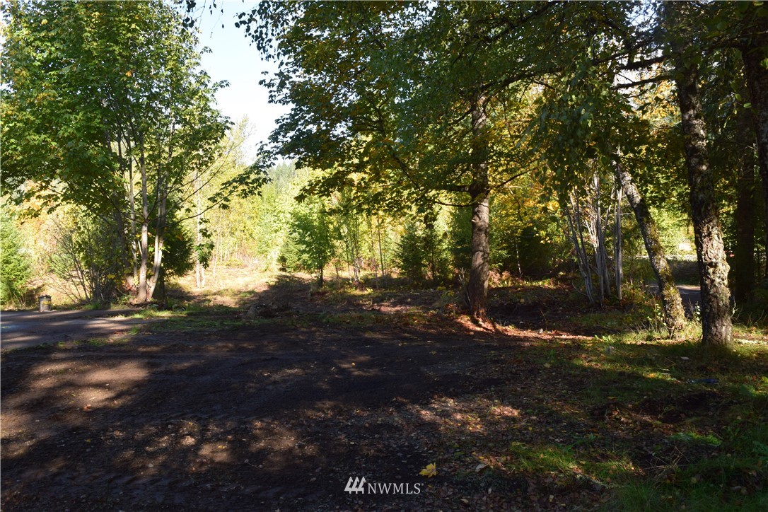 147-26 26 Morris Road Randle, WA 98377 - Photo 17 of 23 Gallery Image 17