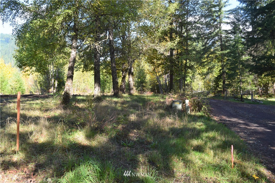 147-26 26 Morris Road Randle, WA 98377 - Photo 18 of 23 Gallery Image 18