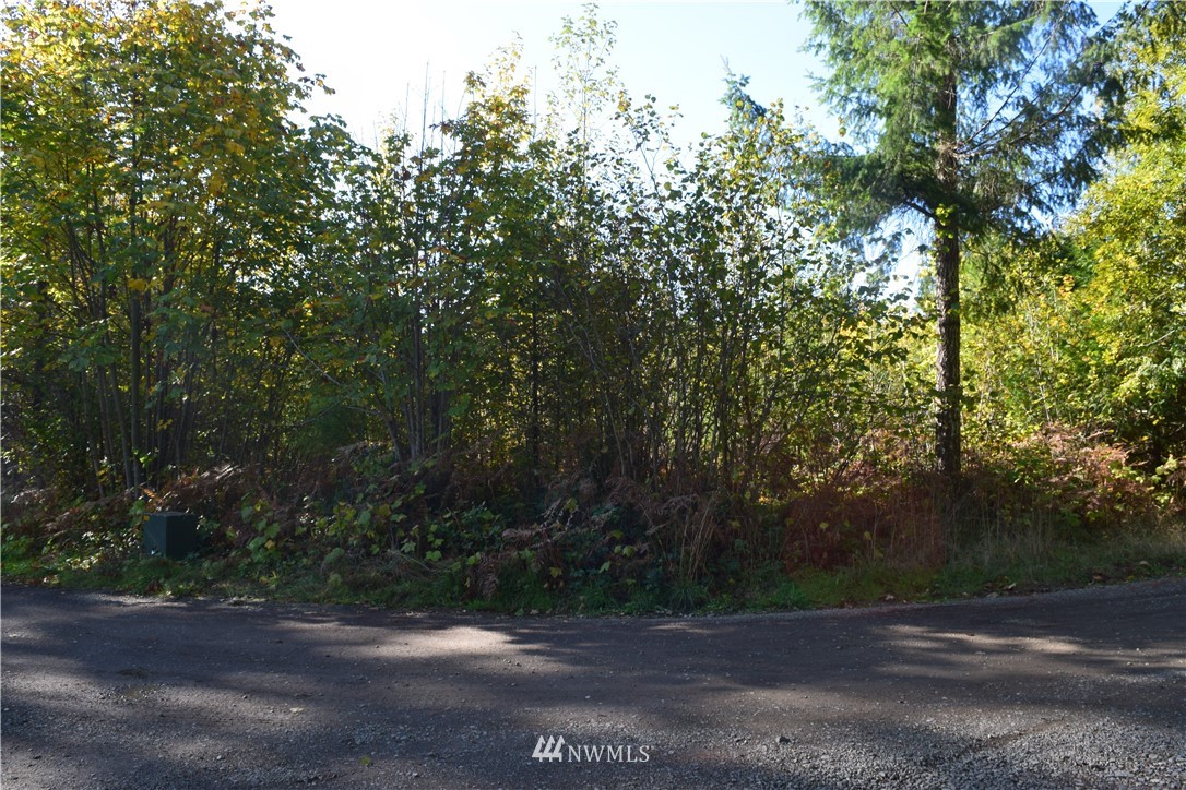 147-26 26 Morris Road Randle, WA 98377 - Photo 20 of 23 Gallery Image 20