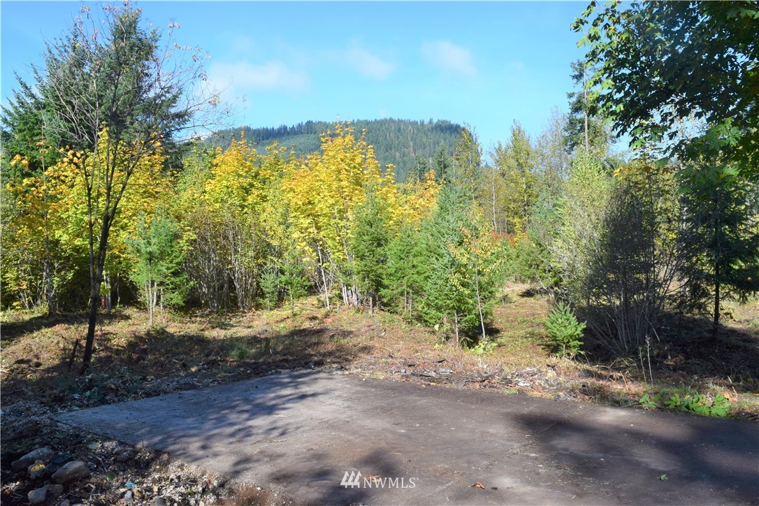 147-26 26 Morris Road Randle, WA 98377 - Photo 21 of 23 Gallery Image 21
