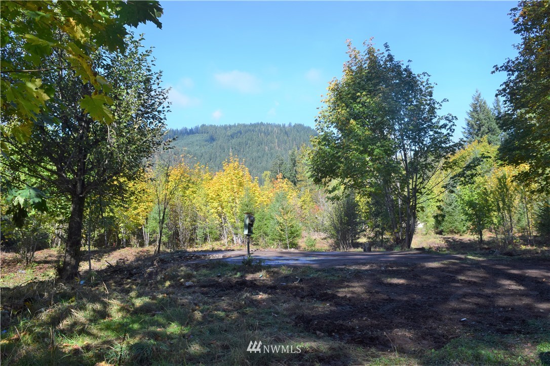 147-26 26 Morris Road Randle, WA 98377 - Photo 22 of 23 Gallery Image 22
