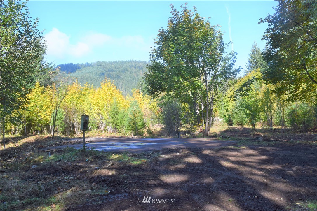 147-26 26 Morris Road Randle, WA 98377 - Photo 23 of 23 Gallery Image 23