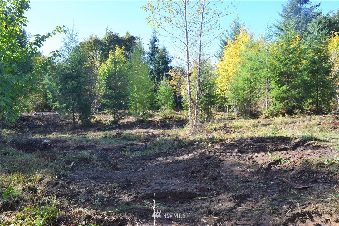147-26 26 Morris Road Randle, WA 98377 - Photo 8 of 23 Gallery Image 8
