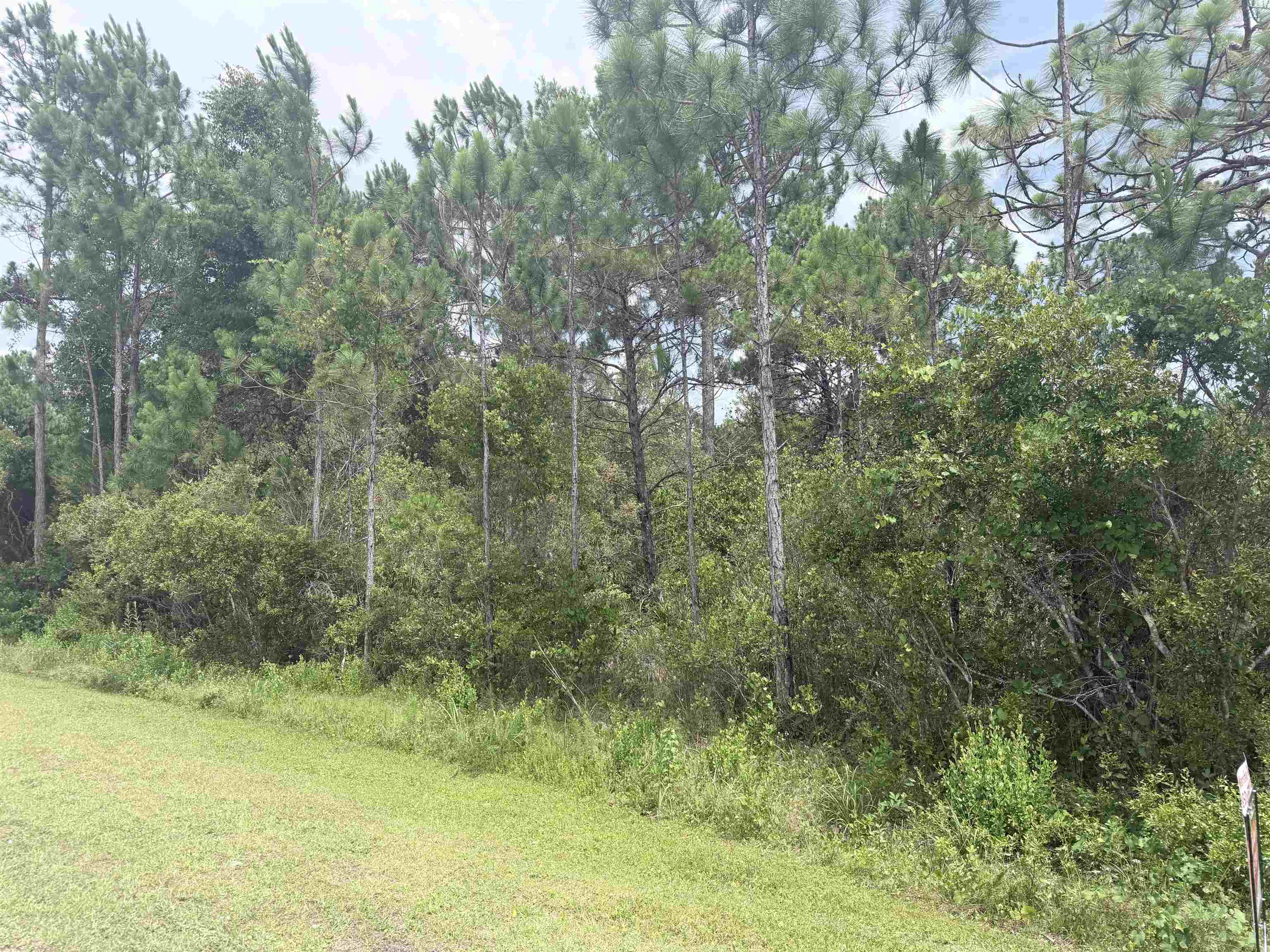 710 Timber Ridge Court, Unit 3 & 4 Eastpoint, FL 32328 - Photo 3 of 4