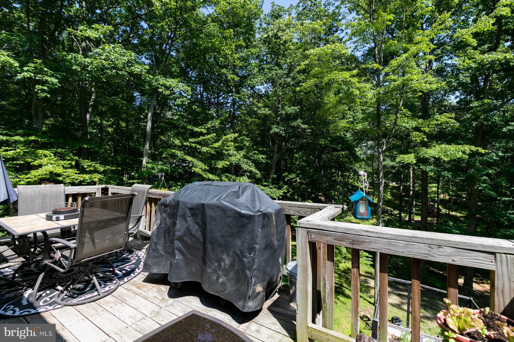 1401 Mercer Road Haymarket, VA 20169 - Photo 46 of 66