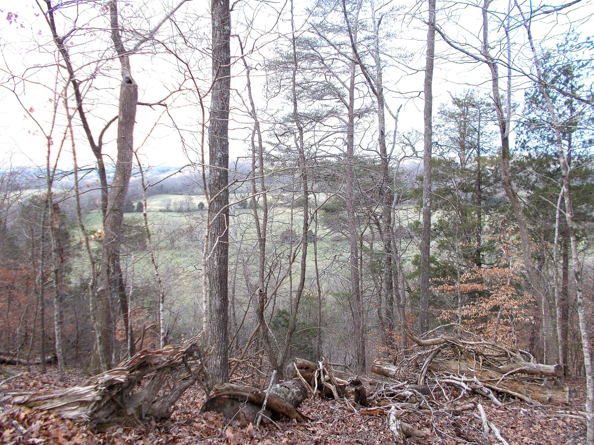 1159 Riverview Road Centerville, TN 37033 - Photo 50 of 50 Gallery Image 50