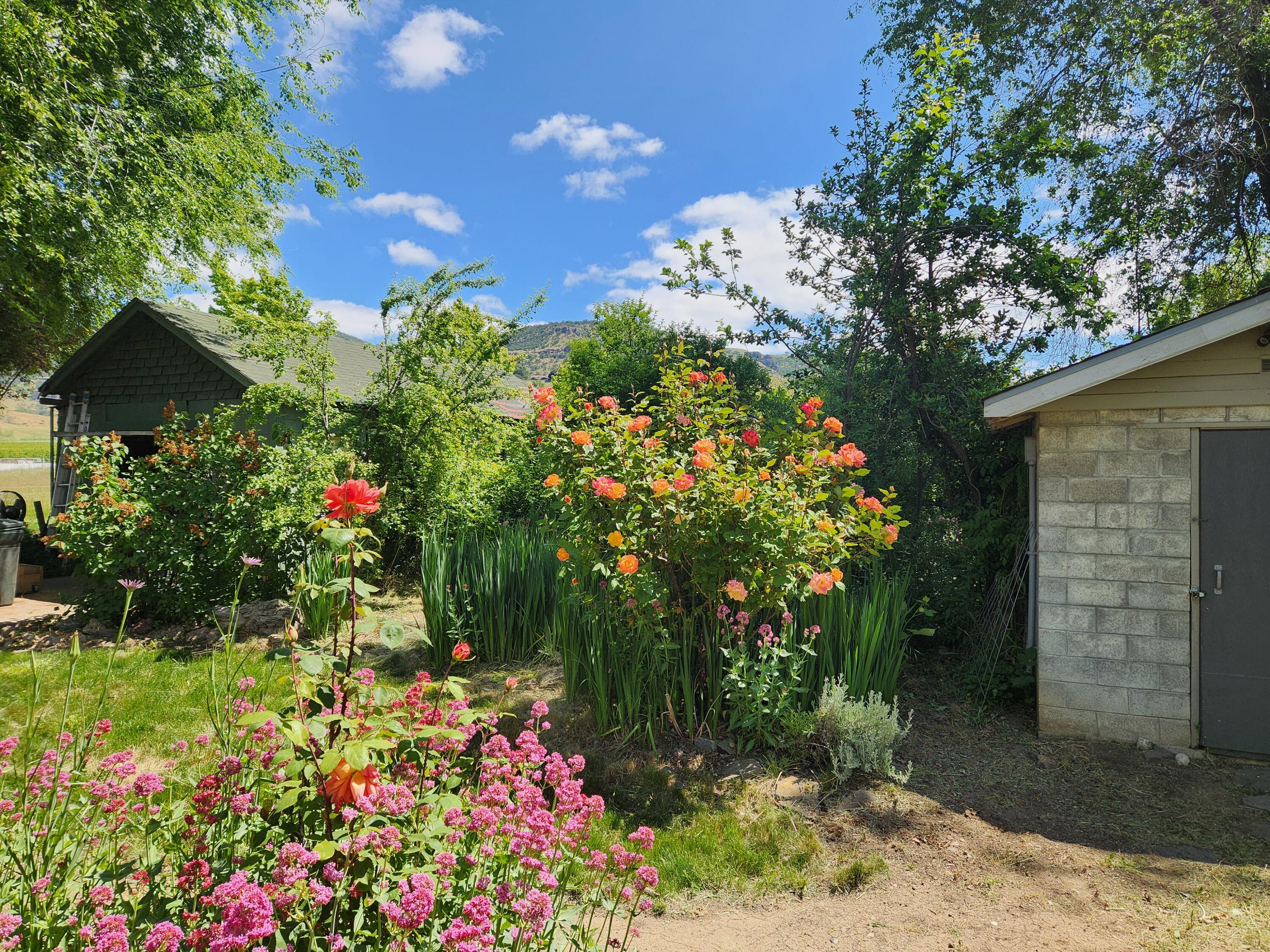 3975 Payne Road Medford, OR 97504 - Photo 14 of 48