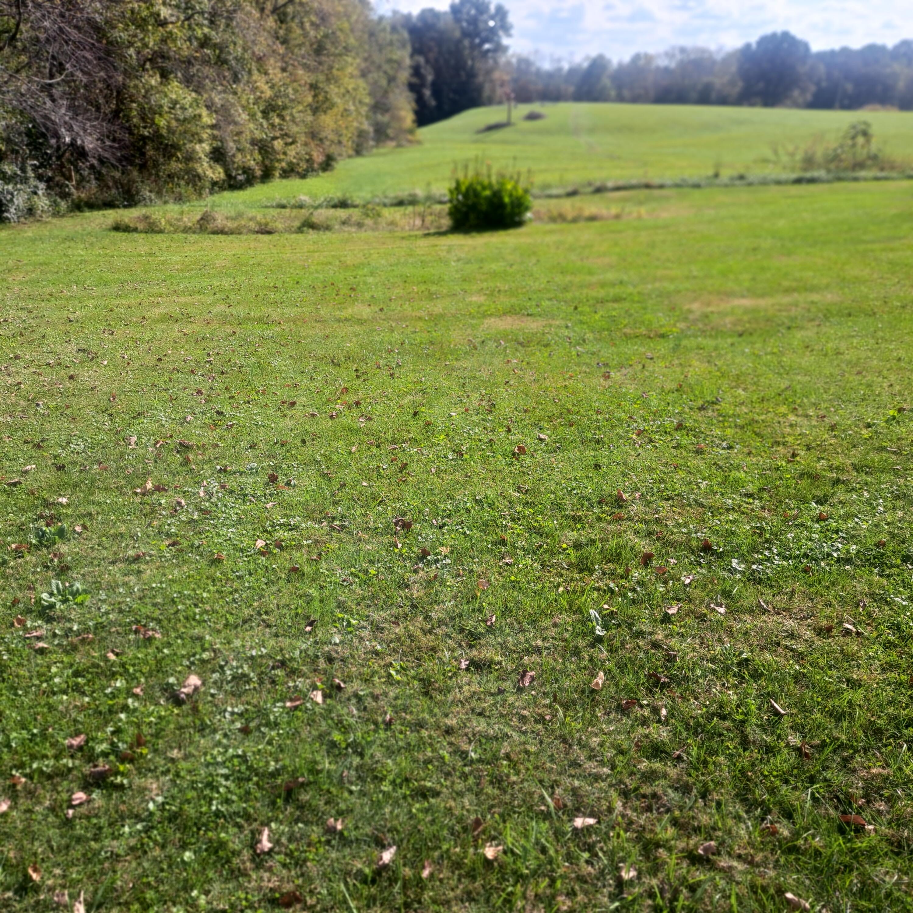 6985 Barbourville Road London, KY 40744 - Photo 7 of 16 20251003_154323