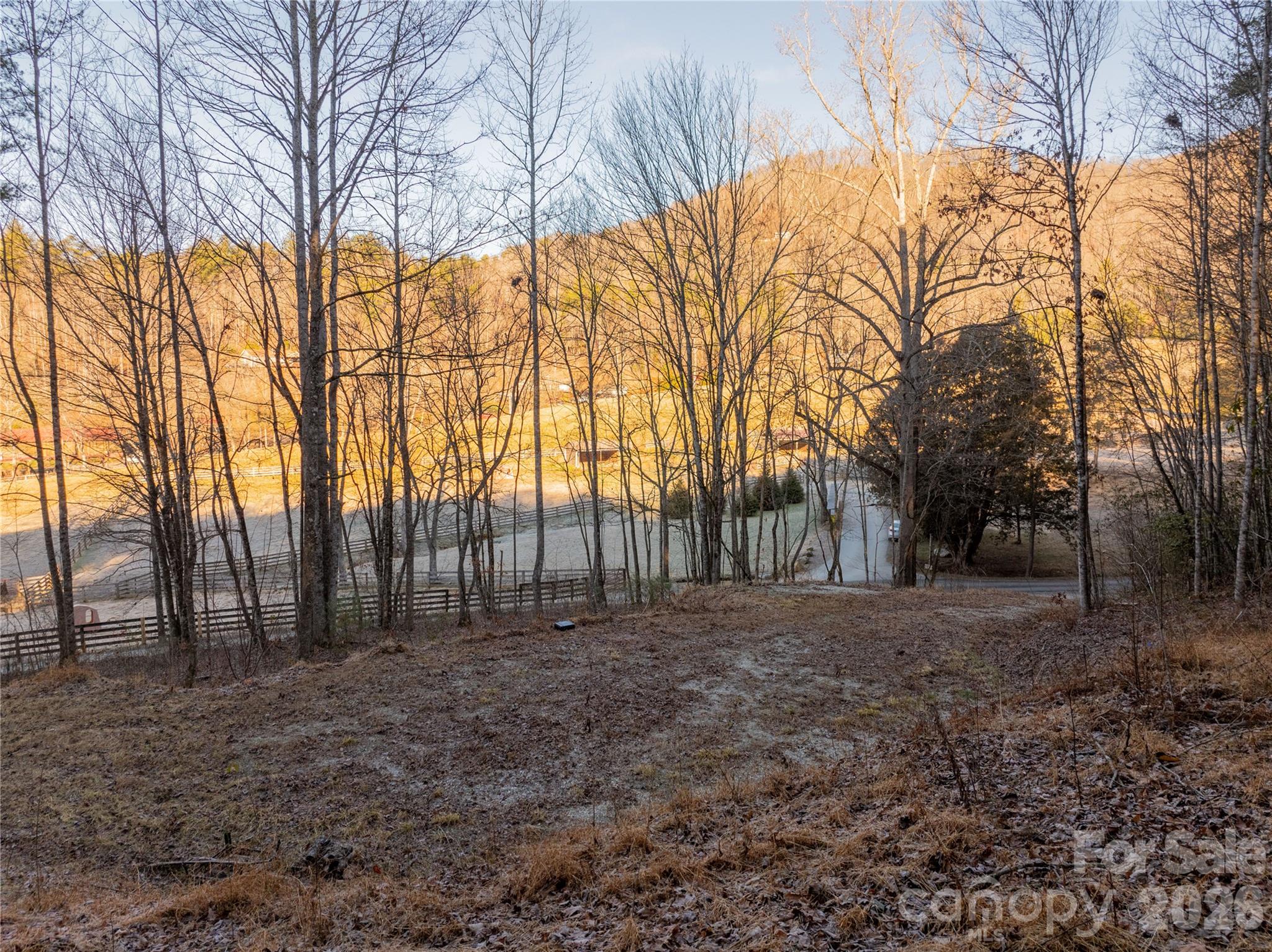 Lot 1 Mccracken Road Bryson City, NC 28713 - Photo 4 of 16