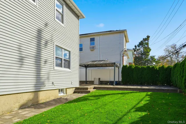 a view of a yard with plants and a large tree