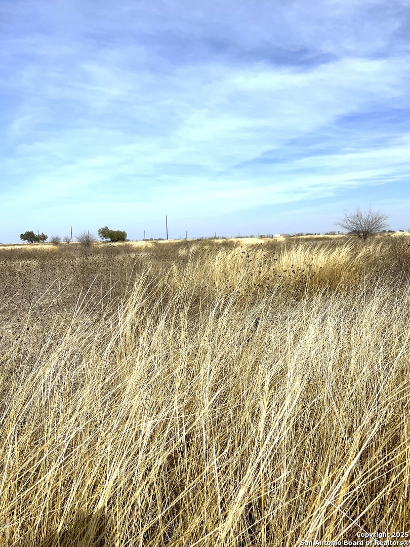 680 Cr 520 D'Hanis, TX 78850 - Photo 15 of 18