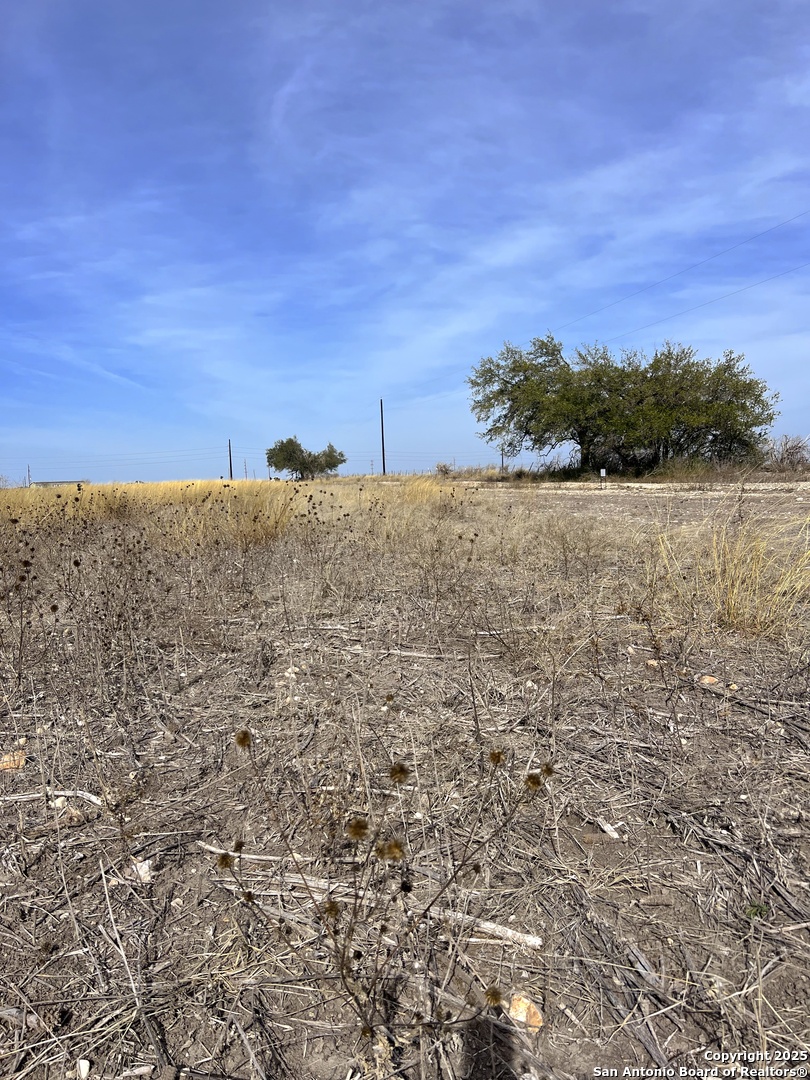 680 Cr 520 D'Hanis, TX 78850 - Photo 7 of 18