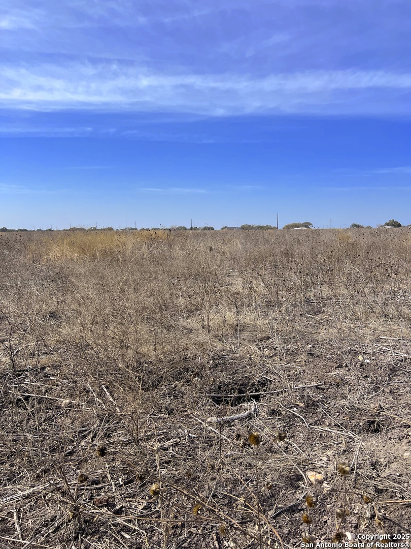 680 Cr 520 D'Hanis, TX 78850 - Photo 8 of 18