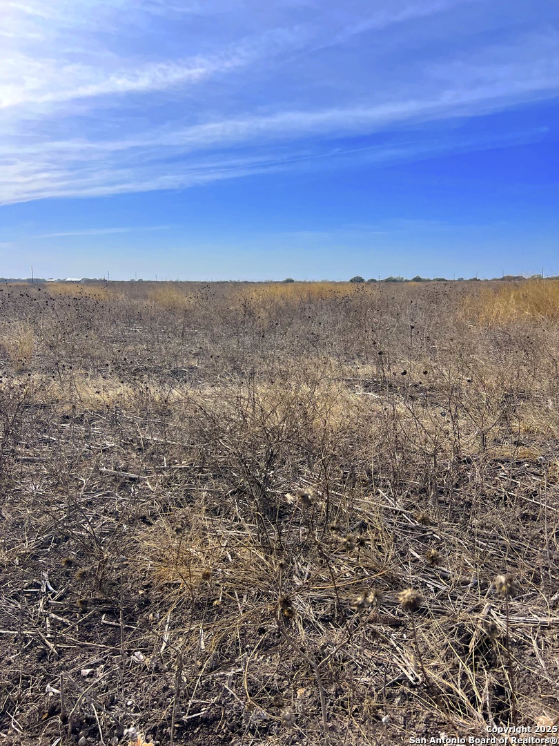 680 Cr 520 D'Hanis, TX 78850 - Photo 9 of 18 a view of city and mountain