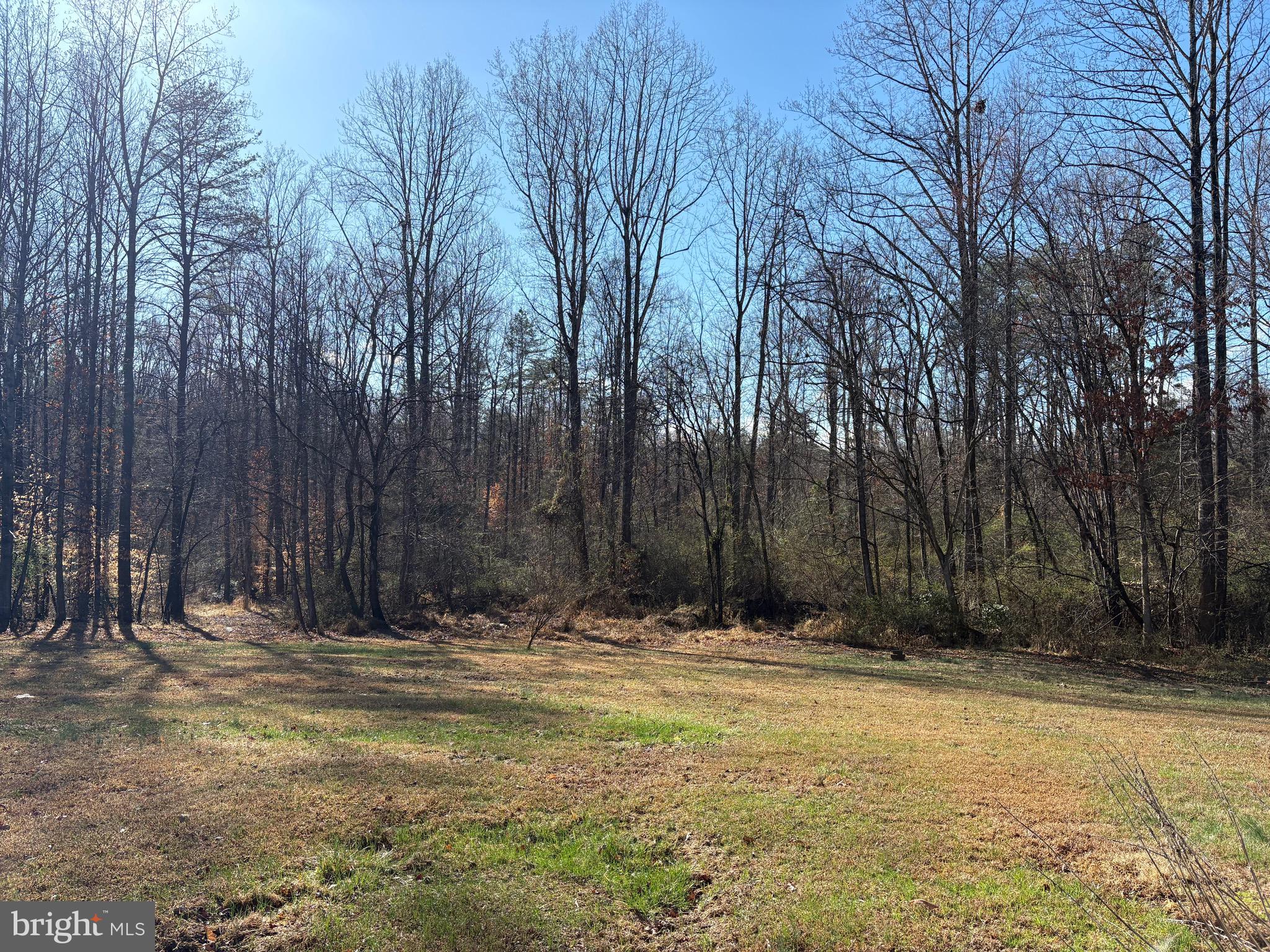 1041 George James Loop Radiant, VA 22732 - Photo 8 of 9 a view of wooden fence