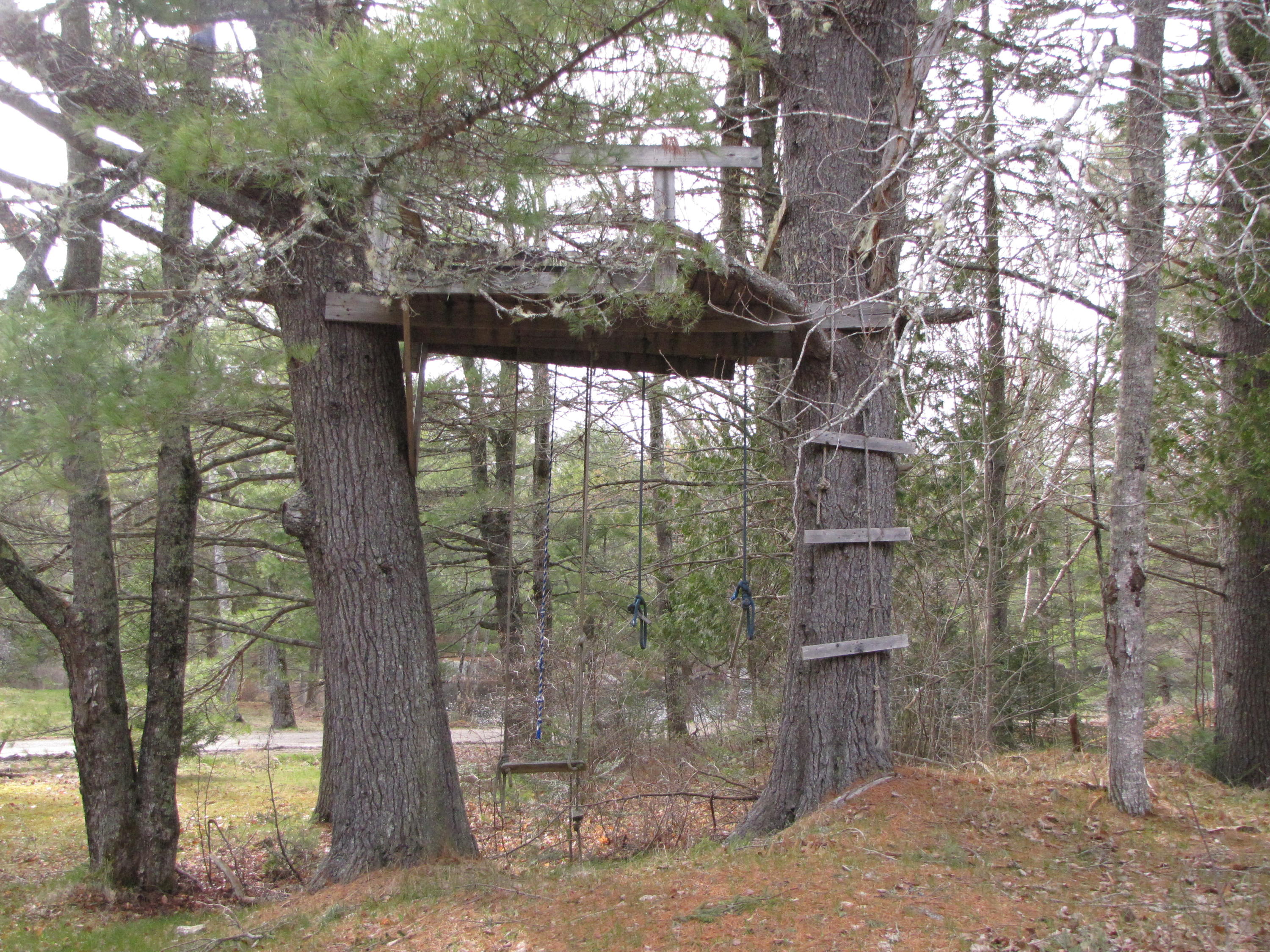 33 Marks Lake Road Machias, ME 04654 - Photo 22 of 37 IMG_1939