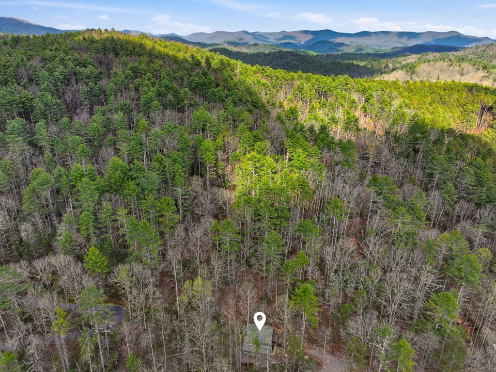 1780 Conasauga Road Ellijay, GA 30540 - Photo 2 of 43 Gallery Image 2