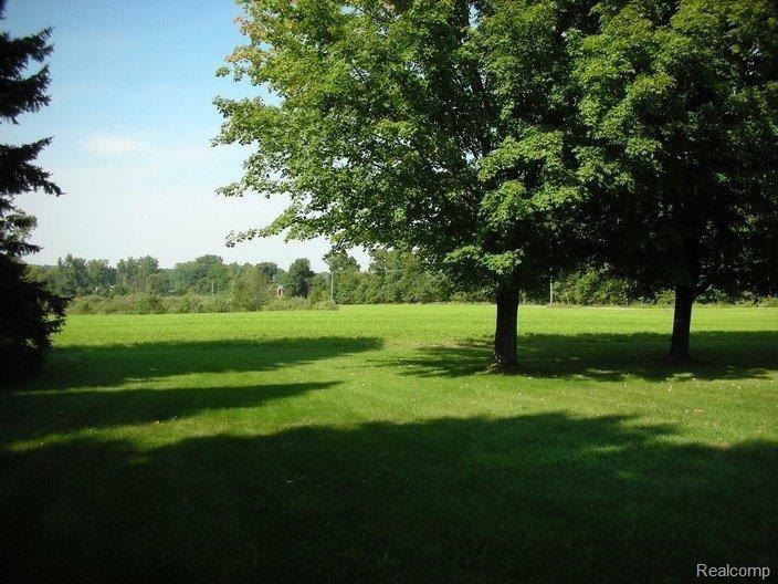 5005 Brigham Road Goodrich, MI 48438 - Photo 15 of 19 Front Yard and Maples
