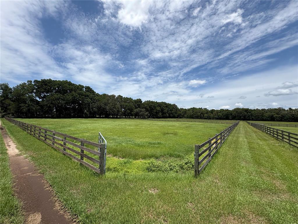 1501 Northeast 97th Street Road Anthony, FL 32617 - Photo 26 of 33 Gallery Image 26