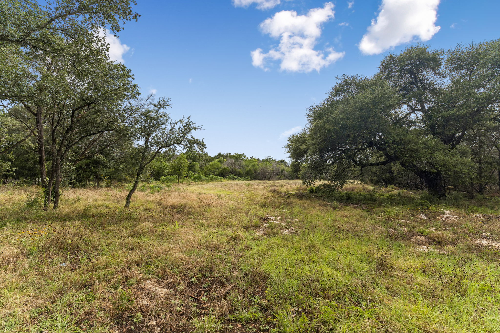 116 Council Road Georgetown, TX 78633 - Photo 9 of 15 Gallery Image 9