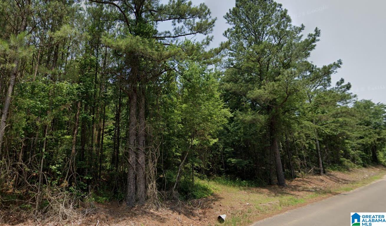 0 Bama Rock Garden Road Vance, AL 35490 - Photo 2 of 3