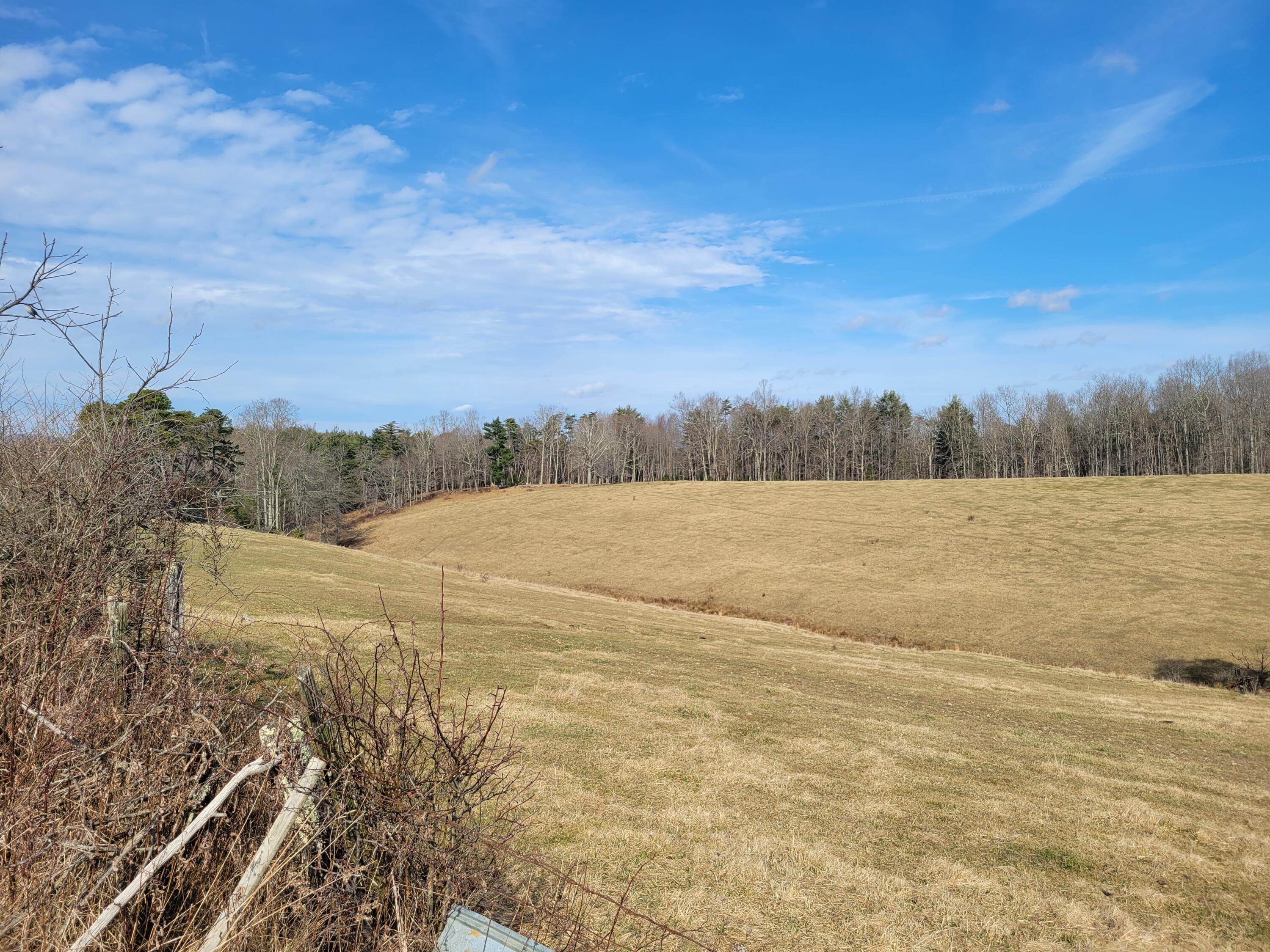 526 Crooked Run Road Peterstown, WV 24963 - Photo 2 of 7 Gallery Image 2