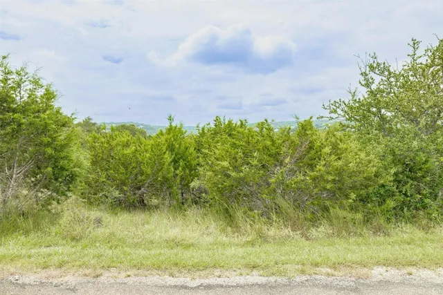 a view of a yard with a tree