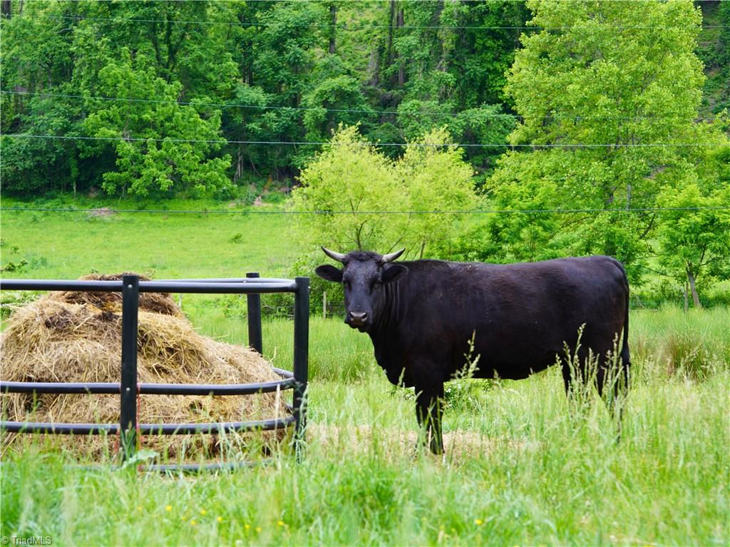 1440 Webb Mountain Road Boones Mill, VA 24065 - Photo 16 of 36 Gallery Image 16