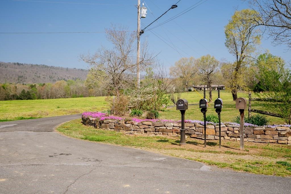 1254 Mountain Loop Road Northwest Sugar Valley, GA 30746 - Photo 73 of 75