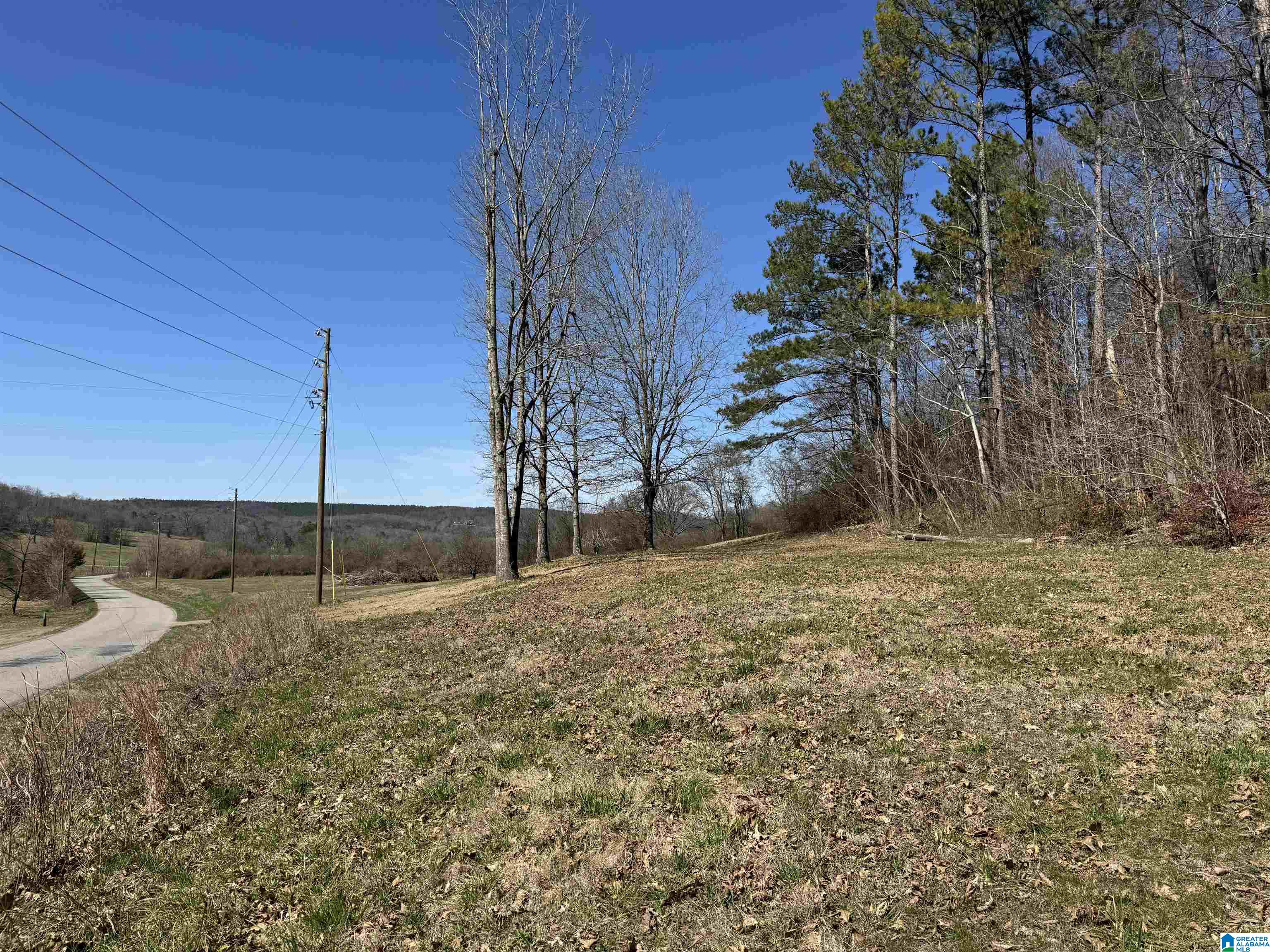 0 Rocky Hollow Road, Unit 3 00 Guntersville, AL 35976 - Photo 22 of 23