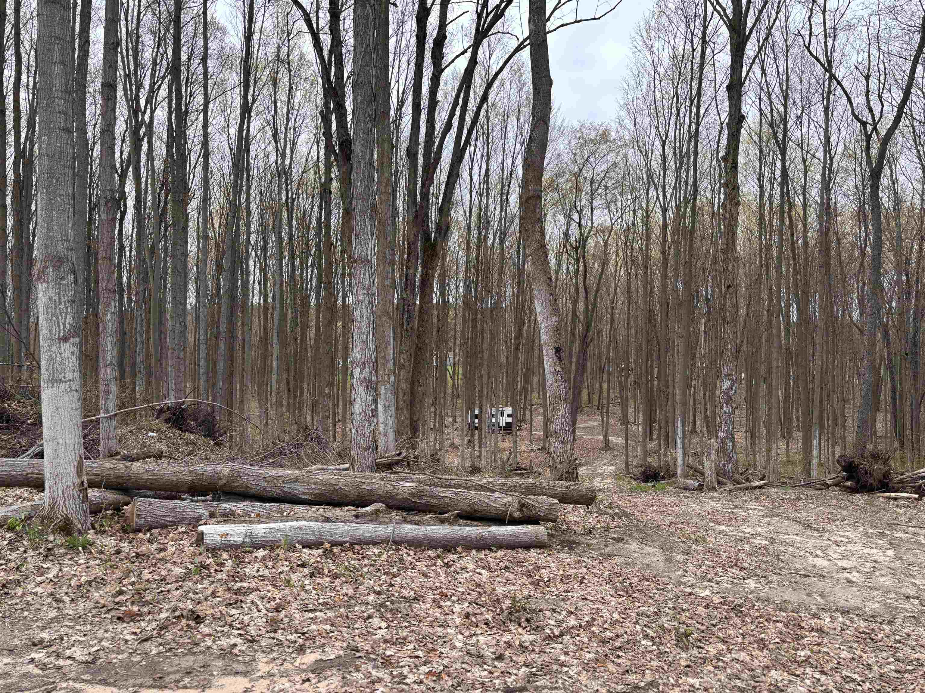 2243 Old State Road Beulah, MI 49617 - Photo 8 of 10