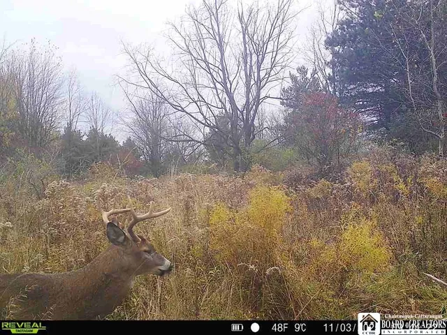 $269,900 | 3396 Highway 20A, Orangeville, NY 14167