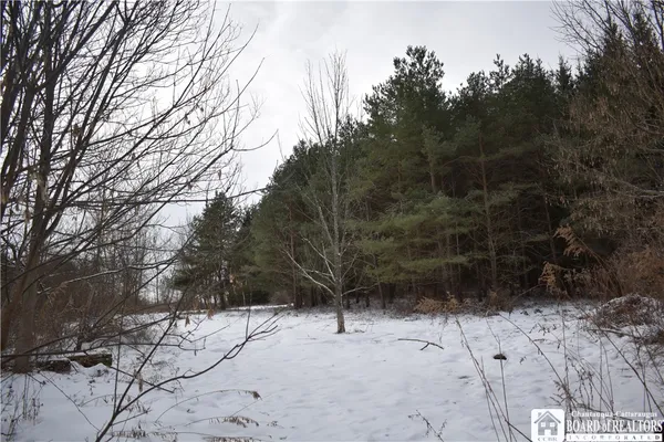 $269,900 | 3396 Highway 20A, Orangeville, NY 14167