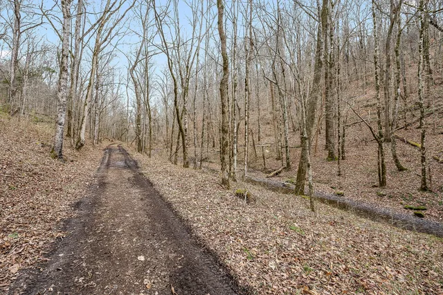 a view of a backyard of the house