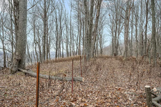 a view of a backyard of the house
