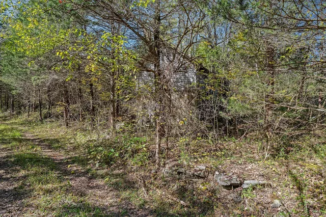 a view of city and mountain