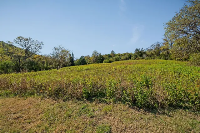an aerial view of mountain with trees around