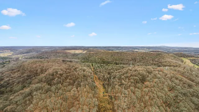 a view of a city with mountains in the background