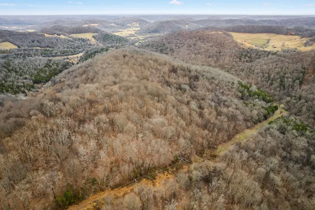 a view of a mountain range with trees in the background