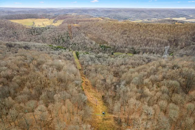 a view of a forest with mountains in the background