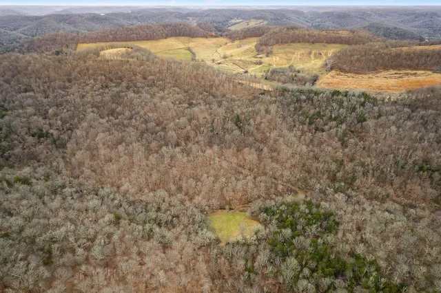 a view of a mountain range with trees in the background