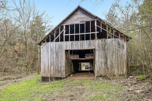 a view of a field with a tree
