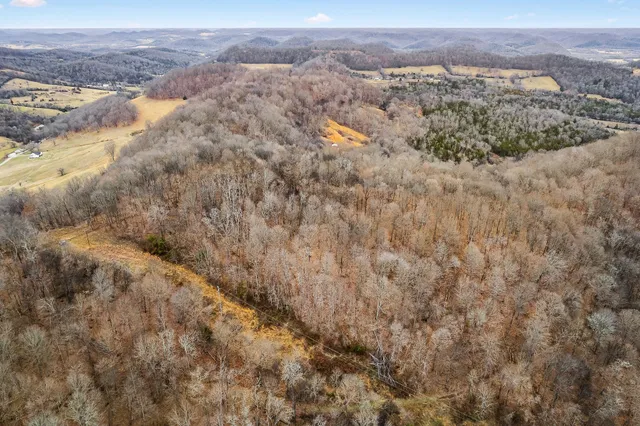 a view of a town with mountains in the background