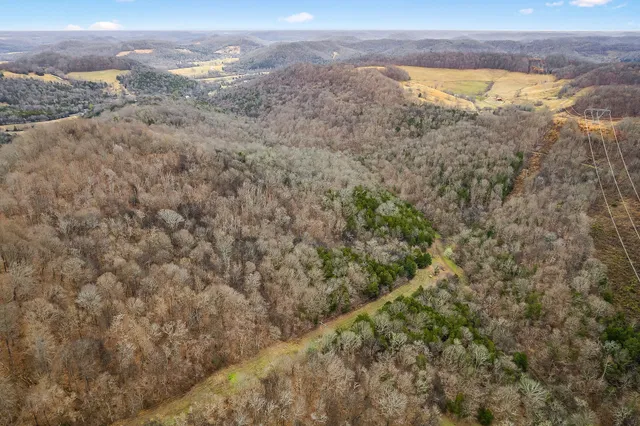 with view of a mountain range with trees in the background