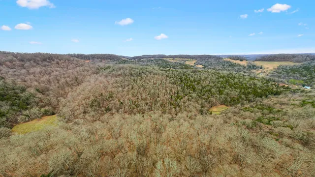 a view of a mountain