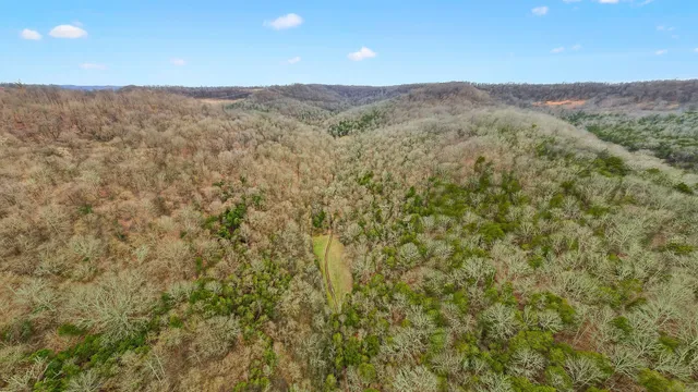 a view of a backyard of the house