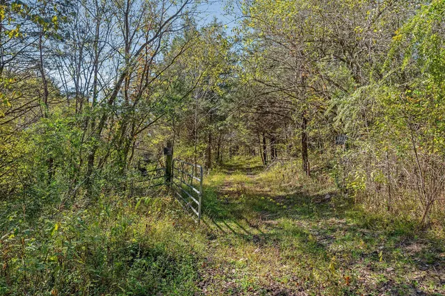 $1,999,999 | 584 Lancaster Highway, Hickman, TN 38567