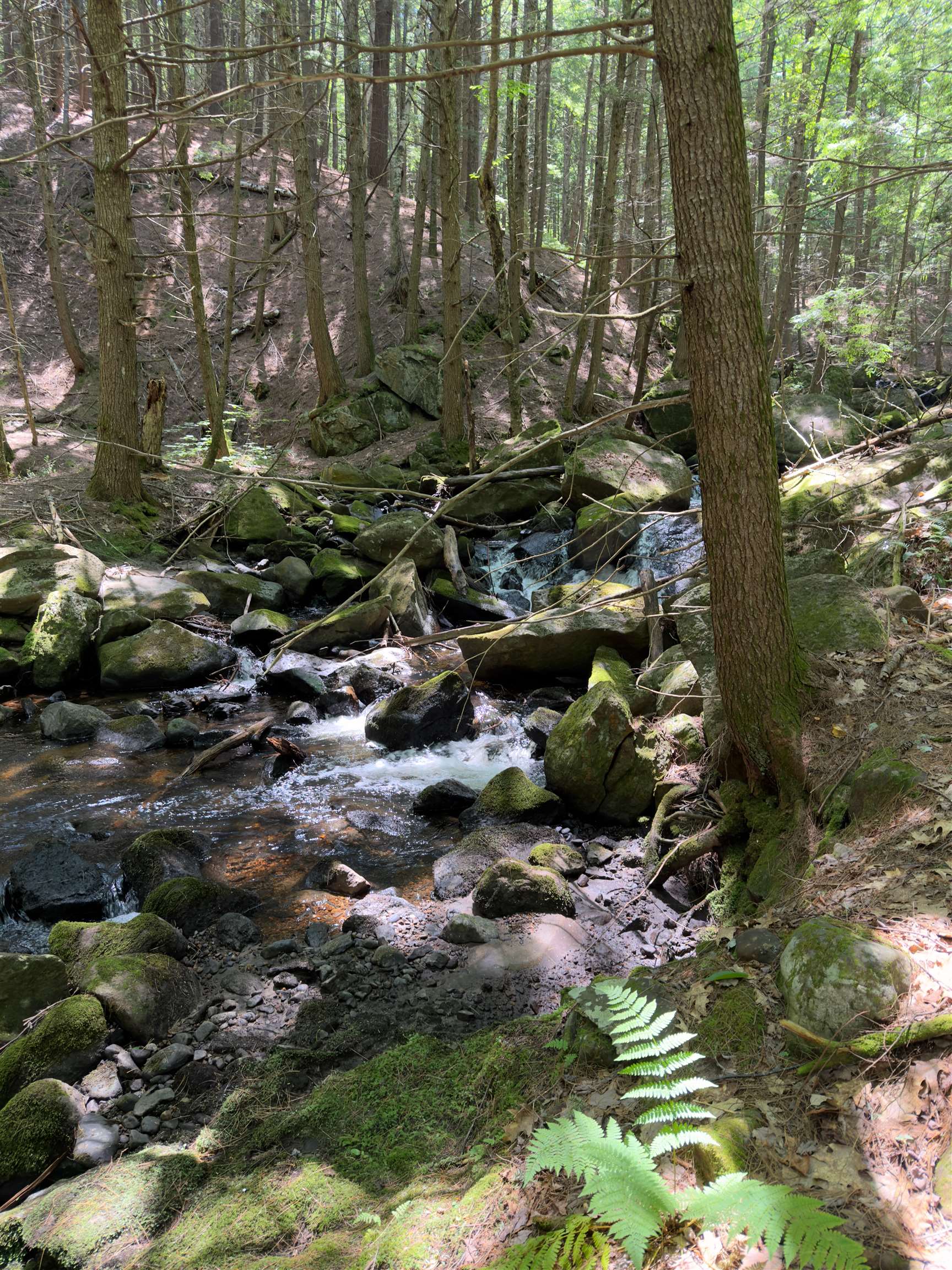 1275 Old Rte 25 Rumney, NH 03266 - Photo 8 of 8